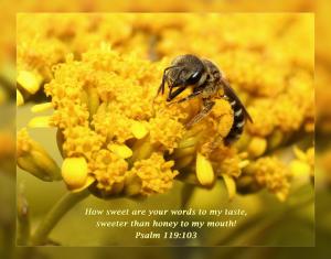 Daily Scripture Art Psalm 119 103